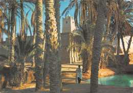 TUNISIE LE SUD - Tunesië