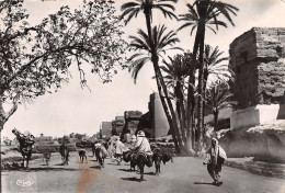 MAROC MARRAKECH - Marrakesh