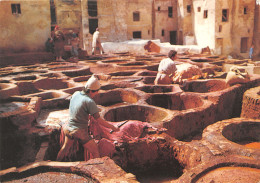 MAROC FES - Fez