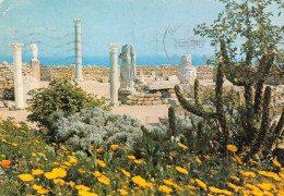 TUNISIE CARTHAGE - Tunesië