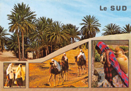 TUNISIE LE SUD - Tunesië