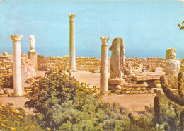 TUNISIE - Tunesien