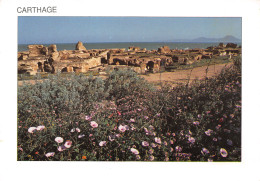 TUNISIE CARTHAGE - Tunesien