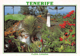 Espagne TENERIFE ISLAS CANARIAS - Tenerife