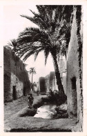 ALGERIE BISKRA RUE DE BAB DARB - Biskra