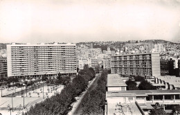 ALGERIE ALGER BOULEVARD CHARLES LUTAUD - Algeri