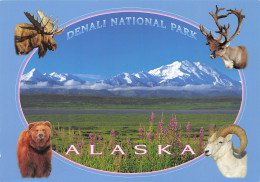USA ALASKA DENALI NATIONAL PARK - Andere & Zonder Classificatie