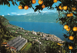 Autriche LAGO DI GARDA GARGNANO - Otros & Sin Clasificación