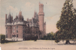 DEND Antoing Le Chateau Du Prince De Ligne - Antoing