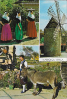 MALLORCA ISLAS BALEARES - ANE, MOULIN, FOLKLORE - A VOYAGEE EN 1999, FLAMME EXPOSITION UNIVERSELLE DE SEVILLE, A VOIR - Mallorca