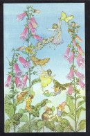 ILLUSTRATEUR - Margaret W.Tarrant - Fairies And Foxgloves - Anges /Fées - Otros & Sin Clasificación