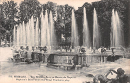 78 VERSAILLES BASSIN DE NEPTUNE - Versailles (Castillo)