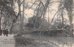 94 CRETEIL L ARBRE PENCHE - Creteil