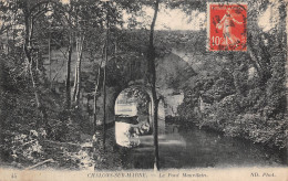 51 CHALONS SUR MARNE LE PONT MAUVILAIN - Châlons-sur-Marne