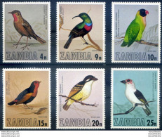 Fauna. Uccelli 1977. - Zambia (1965-...)