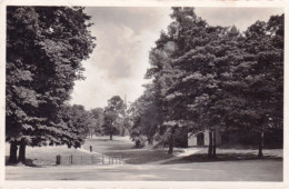 LAEKEN - BRUXELLES - Le Parc - La Chapelle Ste Anne Et La Fontaine - Laeken