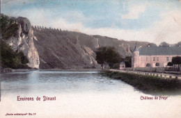Environs De DINANT - Chateau De Freyr - Parfait Etat - Dinant