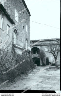 Fo2762 Foto Originale Campolattaro  Cortile Del Palazzo  Provincia Di Benevento - Benevento