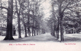 Liege - SPA - Le Parc - Allée De 7 Heures - Spa