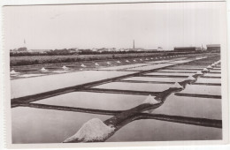 Ile-de-Ré  (Chte-Mme) - Un Beau Marais Salant... - (France) - Ile De Ré