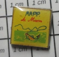 1416A Pin's Pins / Beau Et Rare / ANIMAUX / POISSON TRUITE AAPP LE MANS 1992 ASSOCIATION PECHE - Animals