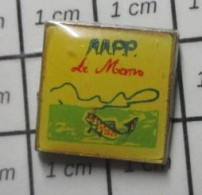 1416A Pin's Pins / Beau Et Rare / ANIMAUX / POISSON TRUITE AAPP LE MANS 1992 ASSOCIATION PECHE - Animaux