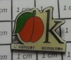 310c Pin's Pins / Beau Et Rare / ALIMENTATION / OK L'ABRICOT BERGERON Pas André évidemment ! - Alimentation