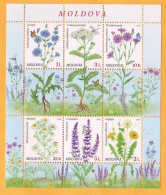 2016  Moldova Moldavie Moldau.  Wildflowers Of Moldova. 6v Mint - Autres & Non Classés