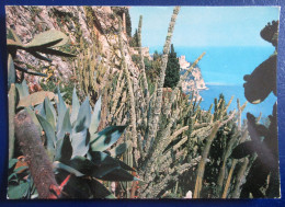 CPM CARTE POSTALE  LE JARDIN EXOTIQUE DE MONACO ( CACTUS ) - Cactussen