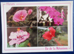 CPM CARTE POSTALE  LES FLEURS DE  L ILE DE LA RÉUNION - Autres & Non Classés