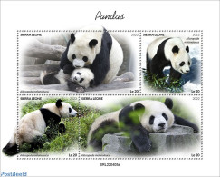 Sierra Leone 2022 Pandas, Mint NH, Nature - Pandas - Autres & Non Classés