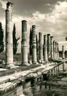 73779787 Aquileia Aquileja IT Le Colonne Del Portico Di Levante Del Foro  - Sonstige & Ohne Zuordnung