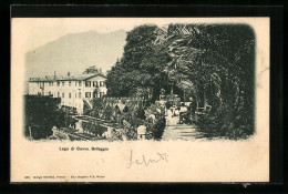 Cartolina Bellaggio /Lago Di Como, Blick Von Einer Gartenterrasse  - Como
