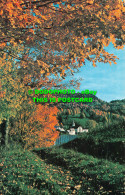 R535826 The New England Countryside Sparkles With Spectacular Color In Fall Foli - Monde