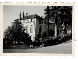 Ref 1 - Photo : L'Olivette De Malbose à Grasse , Alpes Maritimes - France . - Europe