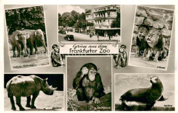 73779481 Frankfurt Main Frankfurter Zoo Elefanten Nashorn Affe Loewe Seeloewe Ge - Frankfurt A. Main