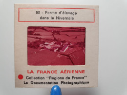 Photo Diapo Diapositive Slide La France Aérienne N°50 Agriculture Ferme à Situer ELEVAGE Dans Le NIVERNAIS VOIR ZOOM - Diapositivas