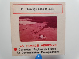 Photo Diapo Diapositive Slide France Aérienne N°51 ELEVAGE Ferme à Situer Dans Le JURA Troupeau De VACHES VOIR ZOOM - Diapositives (slides)