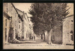 CPA Montfaucon-du-Velay, La Promenade Du Petit Fossé  - Montfaucon En Velay
