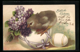 Lithographie Osterküken Steht Auf Einem Osterei Mit Veilchen  - Easter