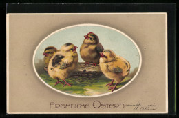 AK Osterküken Sitzen Am Osternest  - Easter