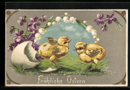 AK Osterküken Schlüpfen Aus Dem Osterei  - Easter