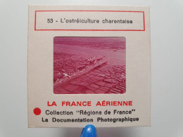 Photo Diapo Diapositive Slide La France Aérienne N°53 OSTREICULTURE Charentaise à Situer En Charente VOIR ZOOM - Dias