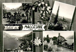 73779312 Malcesine Lago Di Garda Panorama Gardasee Palmen Burg Malcesine Lago Di - Autres & Non Classés