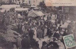 MAYENNE           Le Marché Aux Grains - Mayenne