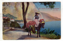 Cpa N° 498 Paysanne - Provence-Alpes-Côte D'Azur