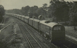 Up Night Ferry, Engine N° E 5003 - Trains