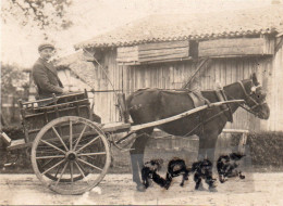 PHOTO ANCIENNE,55,MEUSE,LAVOYE,1900,PAYSAN,ATTELAGE,RARE,CHEVAL,FERMIER - Plaatsen
