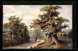 Künstler-AK Raphael Tuck & Sons Nr. 1533: Hayes, Barnet Wood Lane  - Tuck, Raphael