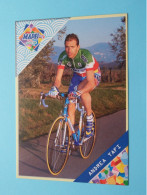 ANDREA TAFI > MAPEI Quick Step CYCLING Team ( Zie / Voir SCANS ) Format CP ( Edit.: Sponsor 1999 ) ! - Cycling